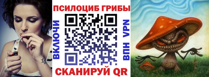 Купить где  Сухой Лог  Псилоцибиновые грибы Cubensis 